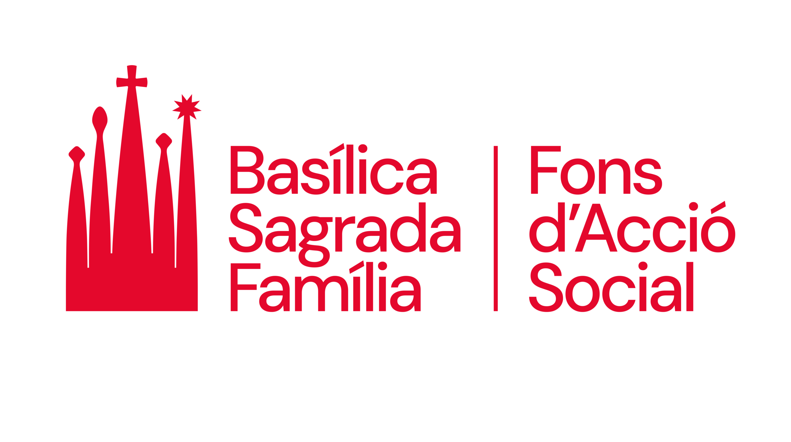 BSF FAS Logotip Color RGB_PNG