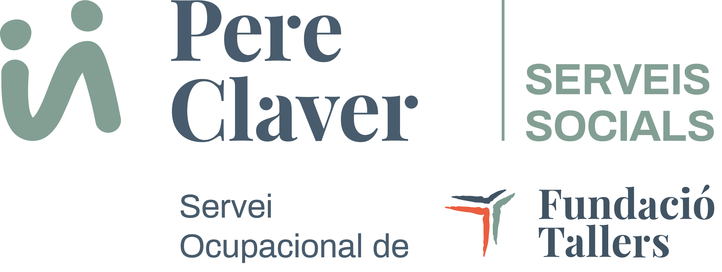 servei-ocupacional (3) (1)